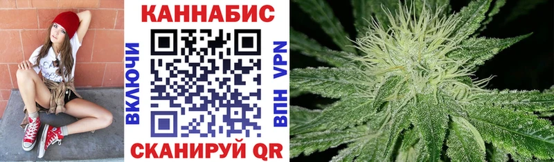 где купить   Бологое  мега рабочий сайт  Каннабис OG Kush 